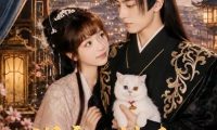 短剧《误变小猫后我成陛下掌心娇（60集）王康＆杨琳（1080P）》免费观看全集