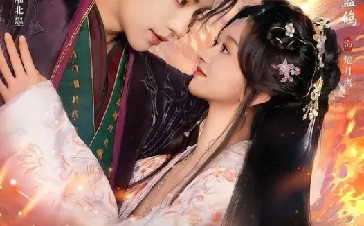 短剧《大婚前薄情王爷变了心，我改嫁死对头他哭了＆揽风华（92集）刘蓝鸽＆黄宥天》免费观看全集