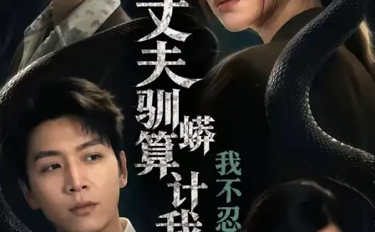 短剧《丈夫驯蟒算计我,我不忍了(68集)姜昊旻&张晓楠&马骏熙&闫思柔》免费观看全集