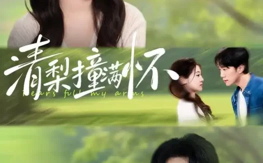 短剧《清梨撞满怀(77集)赵一轩&闫蕾(1080P)》免费观看全集