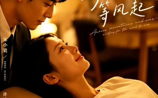 短剧《跨过山海等风起 (24集)》免费观看全集