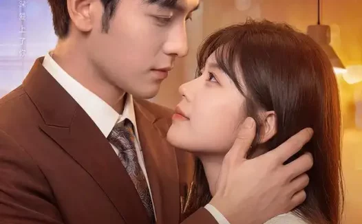 短剧《闪婚后小可怜被冷面老板宠上天 (87集) 杨佳蕾&向昊》免费观看全集