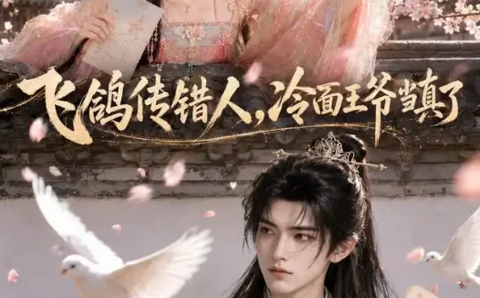 短剧《飞鸽传错人冷面王爷当真了 (33集)》免费观看全集