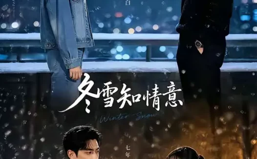 短剧《冬雪知情意 (15集)》免费观看全集
