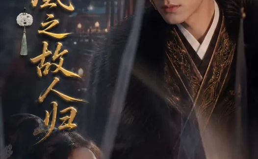 短剧《凤求凰之故人归 (81集)》免费观看全集