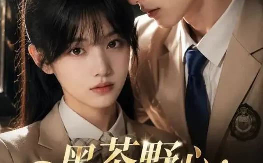 短剧《黑茶野心迟少的心尖宠 (106集)》免费观看全集