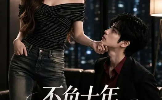 短剧《不负十年终迎晴光 (25集)》免费观看全集