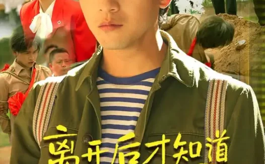 短剧《离开后才知道我锋芒毕露吗 (87集) 张恩浩&曹莞桐&韦坚&张沐晗》免费观看全集