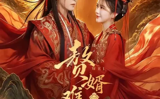 短剧《赘婿难为摄政王他茶味冲天 (64集) 黄靖洲&吴翎薇》免费观看全集