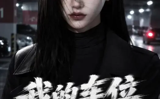 短剧《我的车位谁做主 (38集) AI短剧》免费观看全集