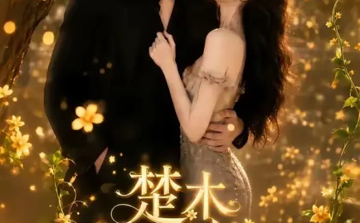 短剧《楚木交枝 (70集)》免费观看全集