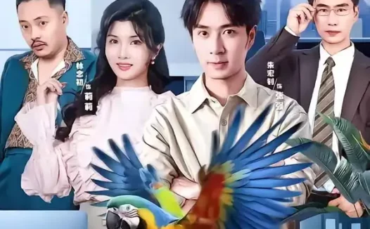 短剧《我小小鹦鹉整顿职场一把好手 (62集) 朱宏钊&林念初&周伟&负辰鑫》免费观看全集