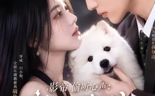 短剧《影帝偷听心声穿成萌犬爆红娱乐圈第二季 (88集全)》免费观看全集