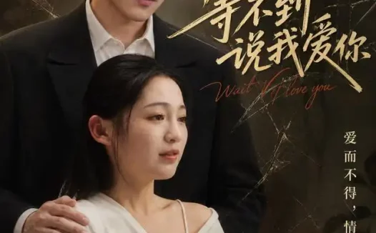 短剧《等不到说我爱你 (82集) 崔秀子&蒋文琦》免费观看全集