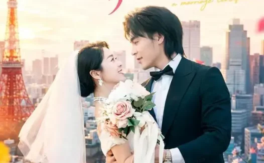 短剧《我和上司有本结婚证 (71集) 余沛杉&徐思祁》免费观看全集