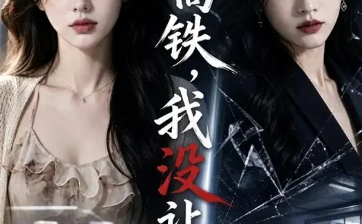 短剧《那年高铁我没让座 (43集) AI短剧》免费观看全集