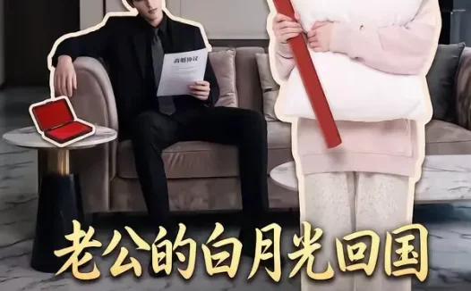 短剧《老公的白月光回国我连夜备好离婚协议 (100集)》免费观看全集