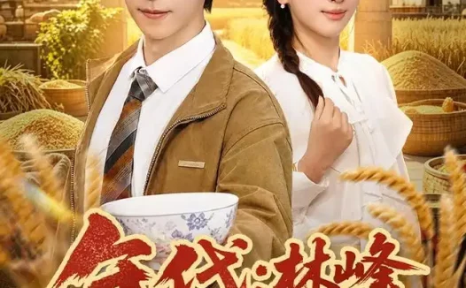 短剧《年代林峰寻妻记 (95集) 李星辰&布依涵》免费观看全集