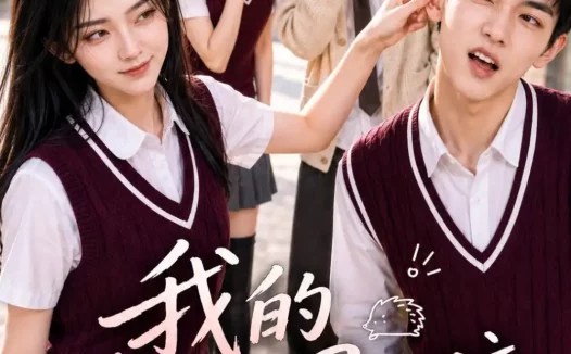 短剧《我的刺猬女孩 (69集)》免费观看全集