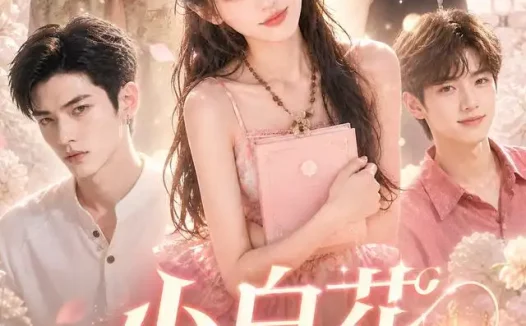 短剧《小白花日记 (71集)》免费观看全集