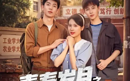 短剧《青春岁月之东北往事 (61集) 李泉成&胡家荣》免费观看全集
