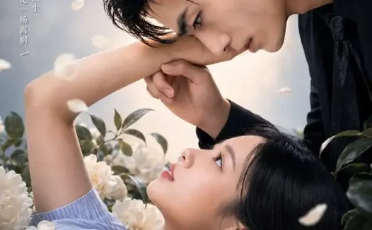 短剧《坠入你的万丈红尘 (72集)》免费观看全集