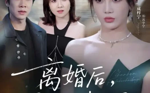 短剧《离婚后前夫后悔不已 (30集) 成梓宁&王宇翔》免费观看全集