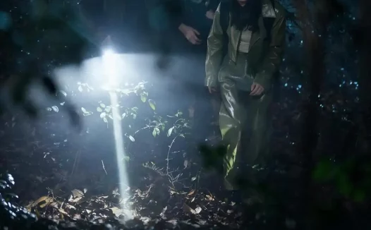 《鹰窠顶诡影（60集）王梓＆凌嘉 (2026)》短剧全集免费在线观看
