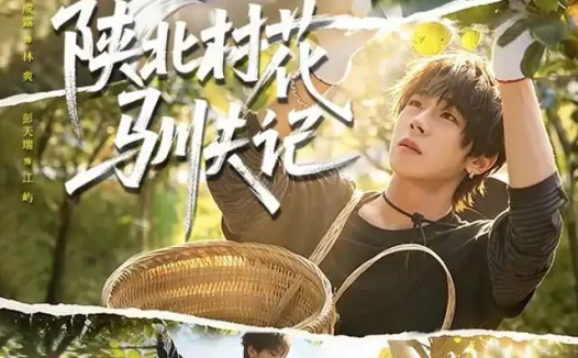 《陕北村花驯夫记（40集）彭天瑞＆翟成露 (2026)》短剧全集免费在线观看