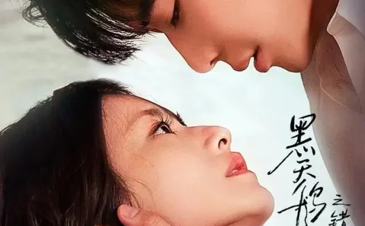 《黑天鹅之错爱(68集)代高政&柴碧云(1080P) (2026)》短剧全集免费在线观看