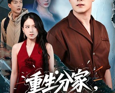 《重生分家,前妻她追悔莫及(74集)杨文昊&盛佳琦 (2026)》短剧全集免费在线观看